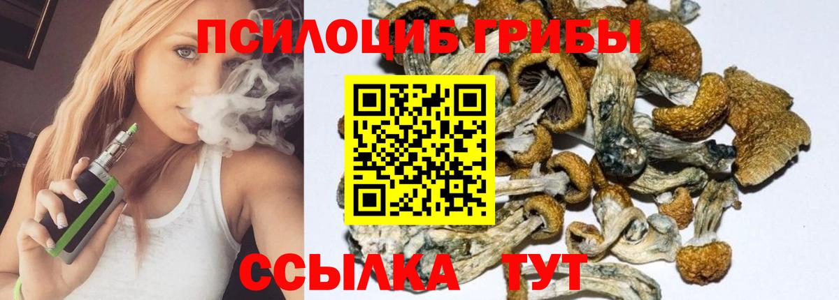 Амурск  Псилоцибиновые грибы мицелий  Галлюциногенные грибы Psilocybe  Вход с VPN 